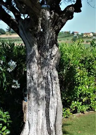 Antigua Bed and Breakfast Porto Potenza Picena