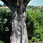 Antigua Bed & Breakfast Porto Potenza Picena