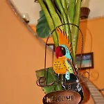 Antigua Bed & Breakfast 3*