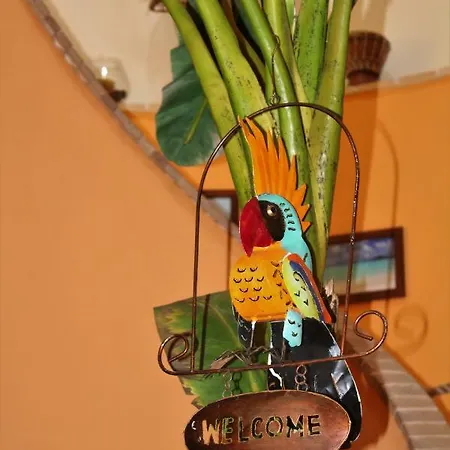 Antigua Couette-café *
